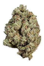 holland strain(1)