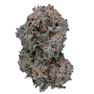 afghani 1
