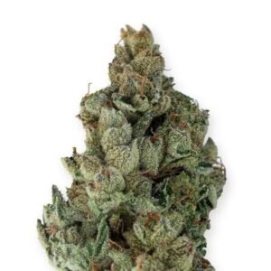 blissful strain