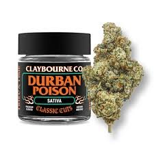 duban 2