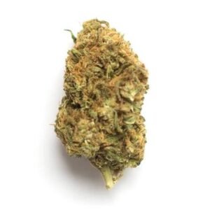 magnum canna(1)
